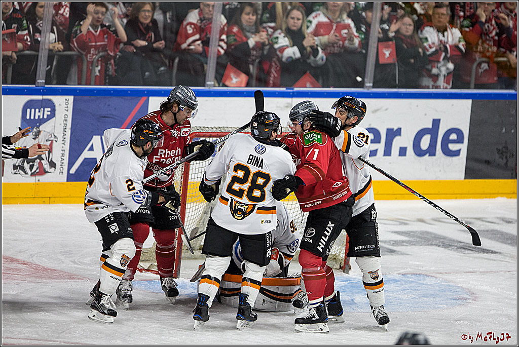 DEL, Koelner Haie - Grizzlys Wolfsburg, 07.03.2017